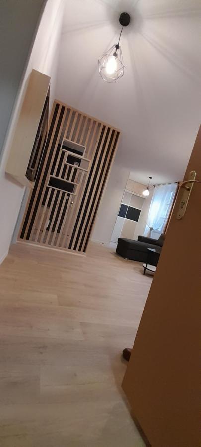 Tres Bel Appartement T3 Hyper Centre Entierement Renove En 2022 リュス・サン・ソヴァール エクステリア 写真