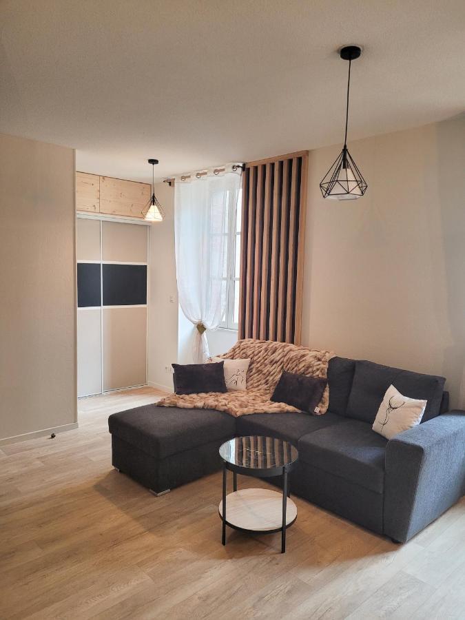 Tres Bel Appartement T3 Hyper Centre Entierement Renove En 2022 リュス・サン・ソヴァール エクステリア 写真